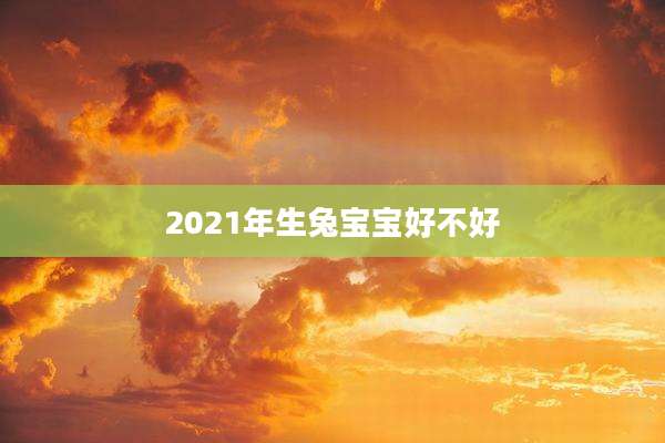 2021年生兔宝宝好不好