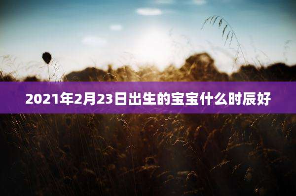 2021年2月23日出生的宝宝什么时辰好