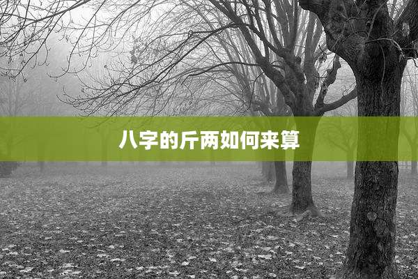八字的斤两如何来算