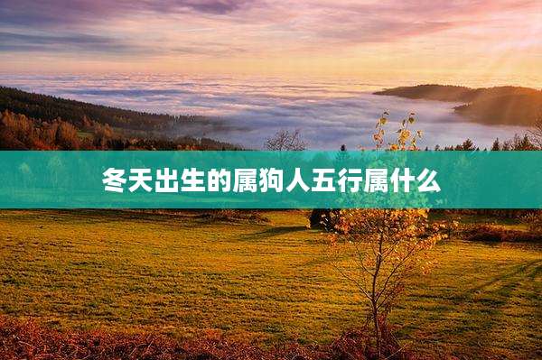 冬天出生的属狗人五行属什么