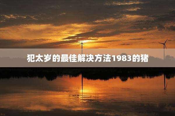 犯太岁的最佳解决方法1983的猪