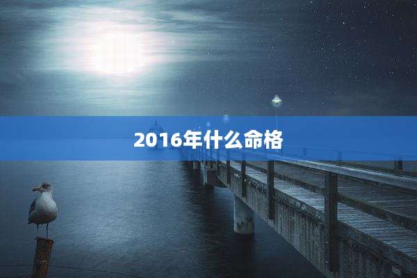 2016年什么命格