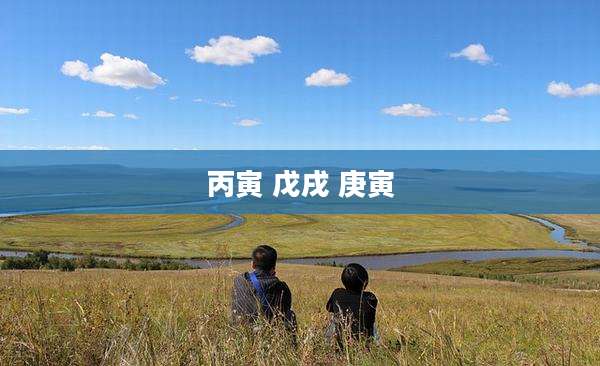 丙寅 戊戌 庚寅