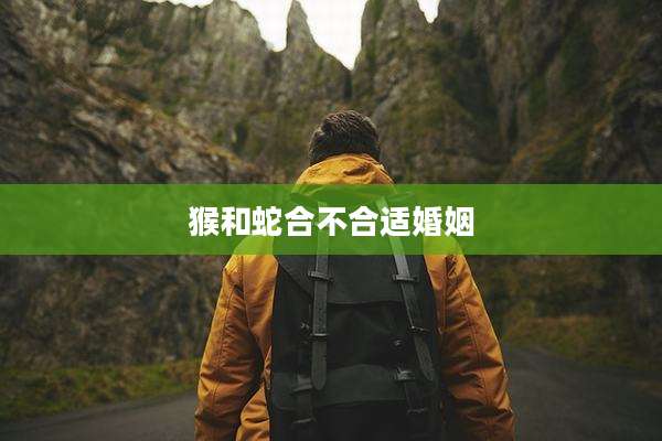 猴和蛇合不合适婚姻