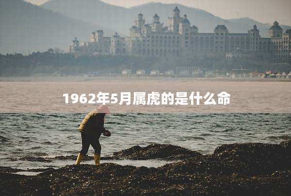 1962年5月属虎的是什么命