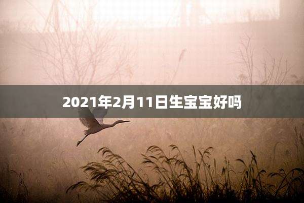 2021年2月11日生宝宝好吗