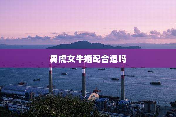 男虎女牛婚配合适吗