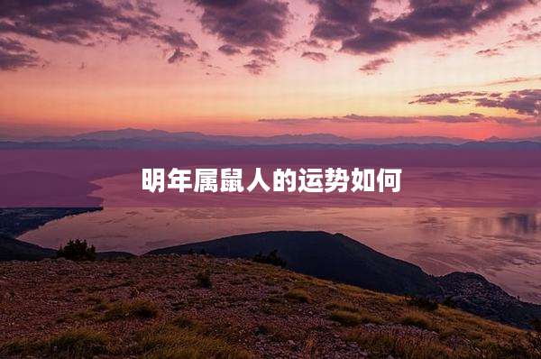 明年属鼠人的运势如何