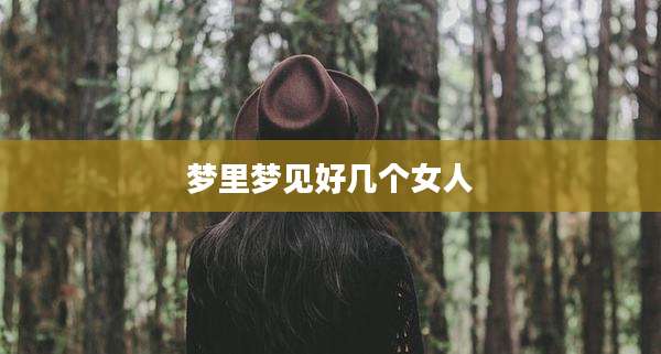 梦里梦见好几个女人