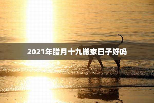 2021年腊月十九搬家日子好吗