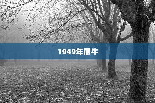 1949年属牛