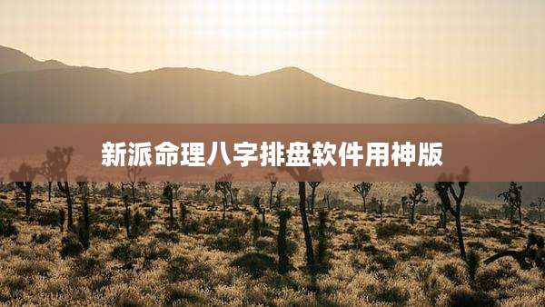 新派命理八字排盘软件用神版