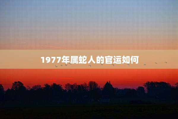 1977年属蛇人的官运如何