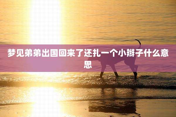 梦见弟弟出国回来了还扎一个小辫子什么意思