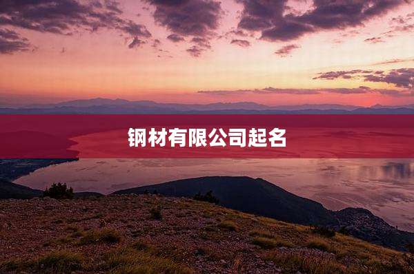 钢材有限公司起名