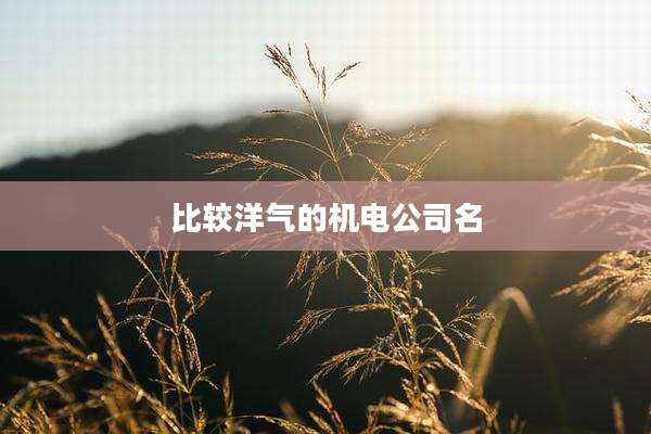 比较洋气的机电公司名