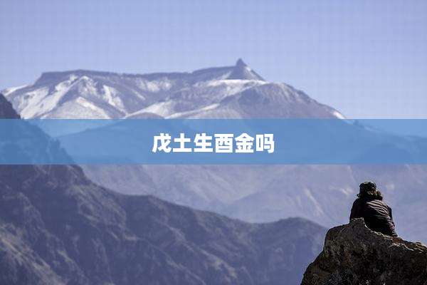 戊土生酉金吗