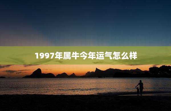 1997年属牛今年运气怎么样