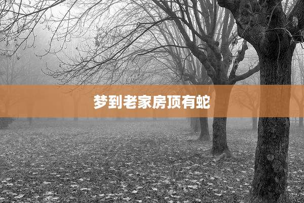 梦到老家房顶有蛇