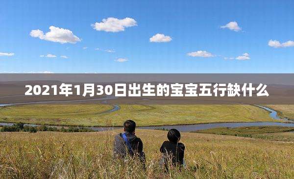 2021年1月30日出生的宝宝五行缺什么