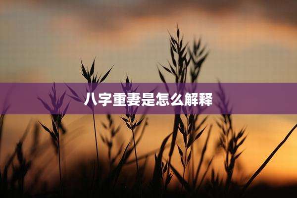 八字重妻是怎么解释