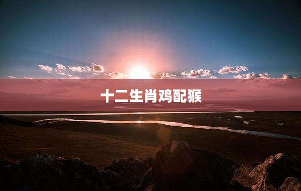 十二生肖鸡配猴