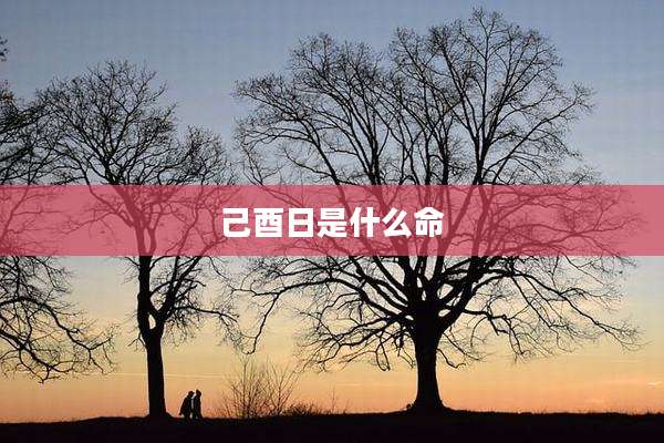 己酉日是什么命