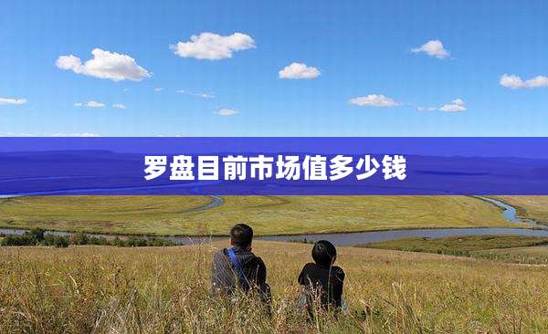 罗盘目前市场值多少钱