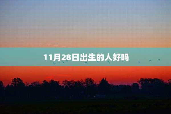 11月28日出生的人好吗
