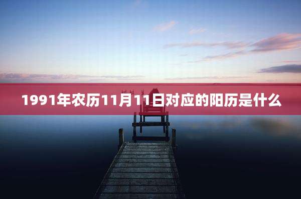 1991年农历11月11日对应的阳历是什么