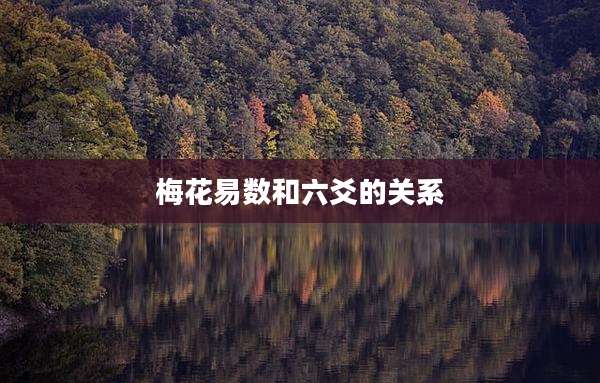 梅花易数和六爻的关系