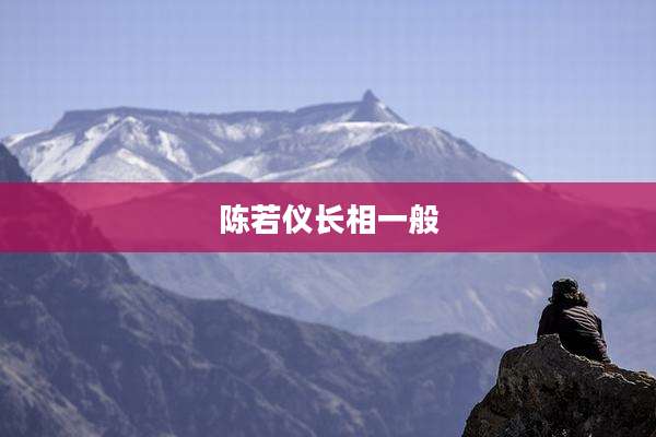 陈若仪长相一般