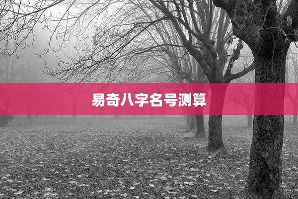 易奇八字名号测算
