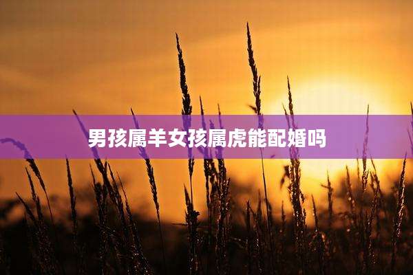 男孩属羊女孩属虎能配婚吗