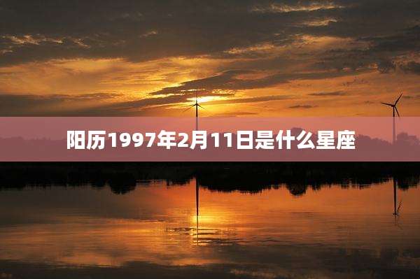 阳历1997年2月11日是什么星座