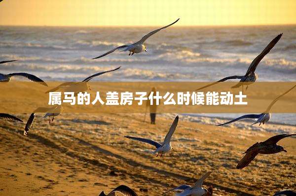 属马的人盖房子什么时候能动土