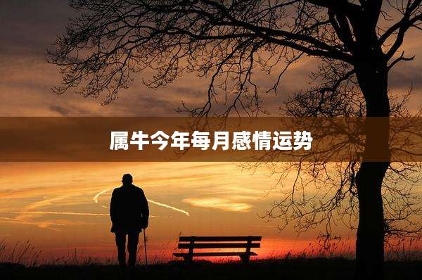 属牛今年每月感情运势