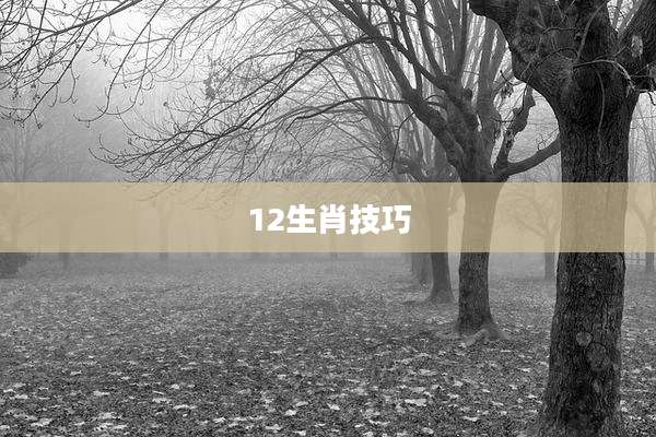 12生肖技巧
