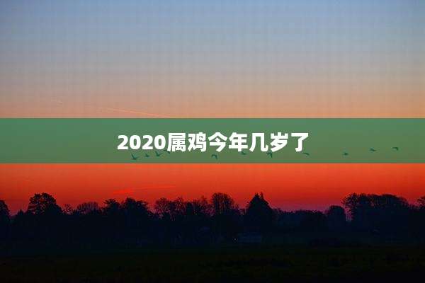 2020属鸡今年几岁了