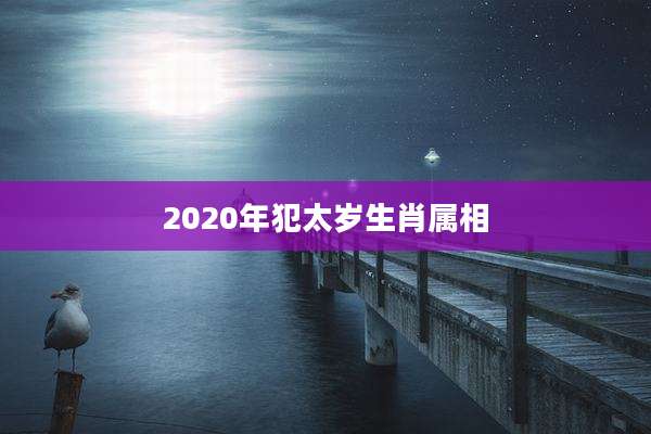 2020年犯太岁生肖属相