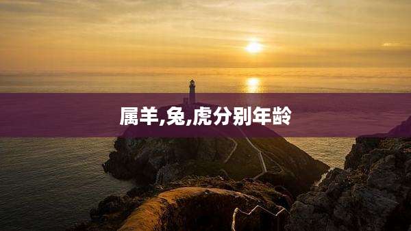 属羊,兔,虎分别年龄