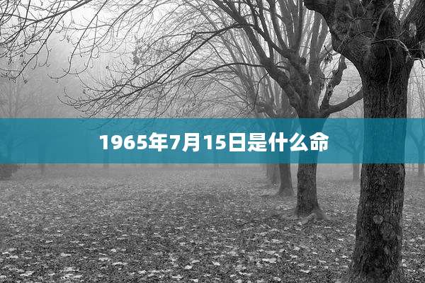 1965年7月15日是什么命