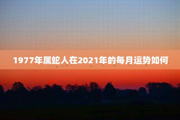1977年属蛇人在2021年的每月运势如何