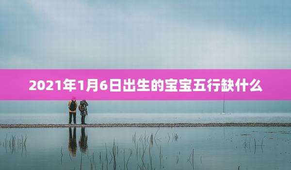 2021年1月6日出生的宝宝五行缺什么