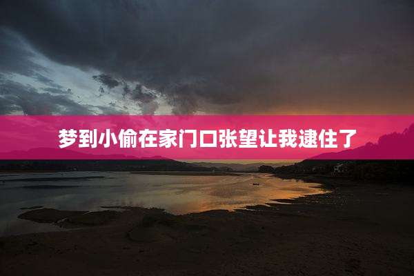 梦到小偷在家门口张望让我逮住了
