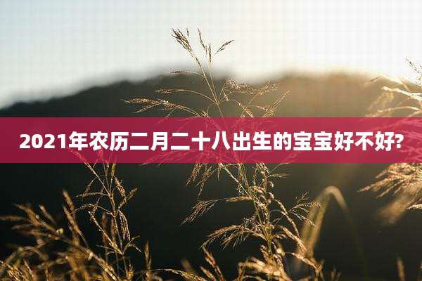 2021年农历二月二十八出生的宝宝好不好?