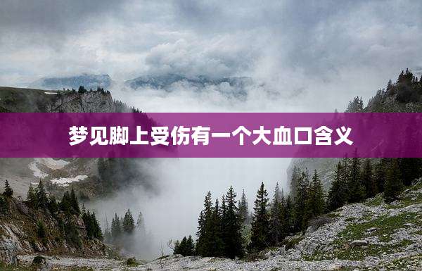 梦见脚上受伤有一个大血口含义