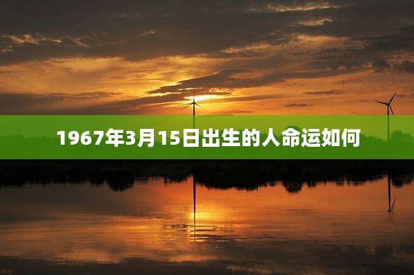 1967年3月15日出生的人命运如何