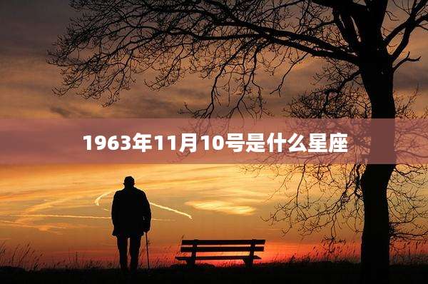 1963年11月10号是什么星座