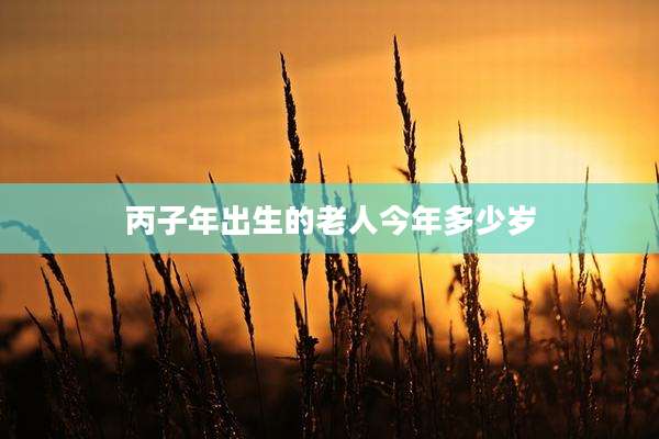 丙子年出生的老人今年多少岁